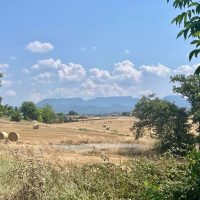 Bleached fields, Pyrenees in distance