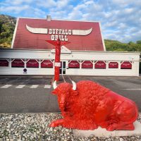 Buffalo Grill