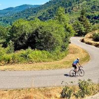 Empty roads, Vosges, single cyclist featured image