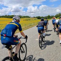 Fast peloton, sunflowers
