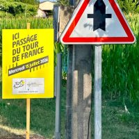 TDF signs