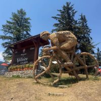 Telepgraph straw cyclist