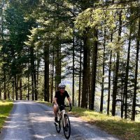 Treelined climbs